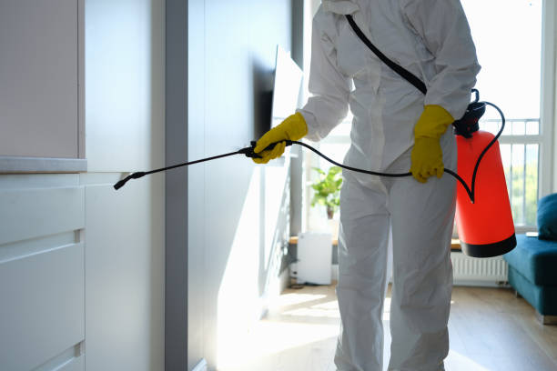 Best Professional Mold Removal  in Largo, FL