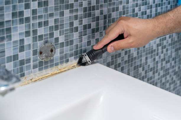 Best Mold Damage Repair  in Largo, FL