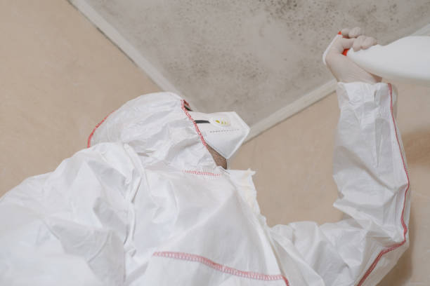 Best Mold Removal and Inspection  in Largo, FL